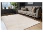 Tapis beige clair dans un salon moderne avec canapé gris et plantes.