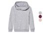 Un sweat-shirt gris à capuche.