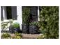 Pots noirs avec des plantes vertes et des fleurs violettes devant une maison.