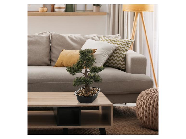 Bonsaï artificiel sur une table basse en bois dans un salon avec un canapé beige.