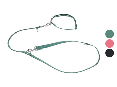 zoofari® Collier et laisse pour chiens