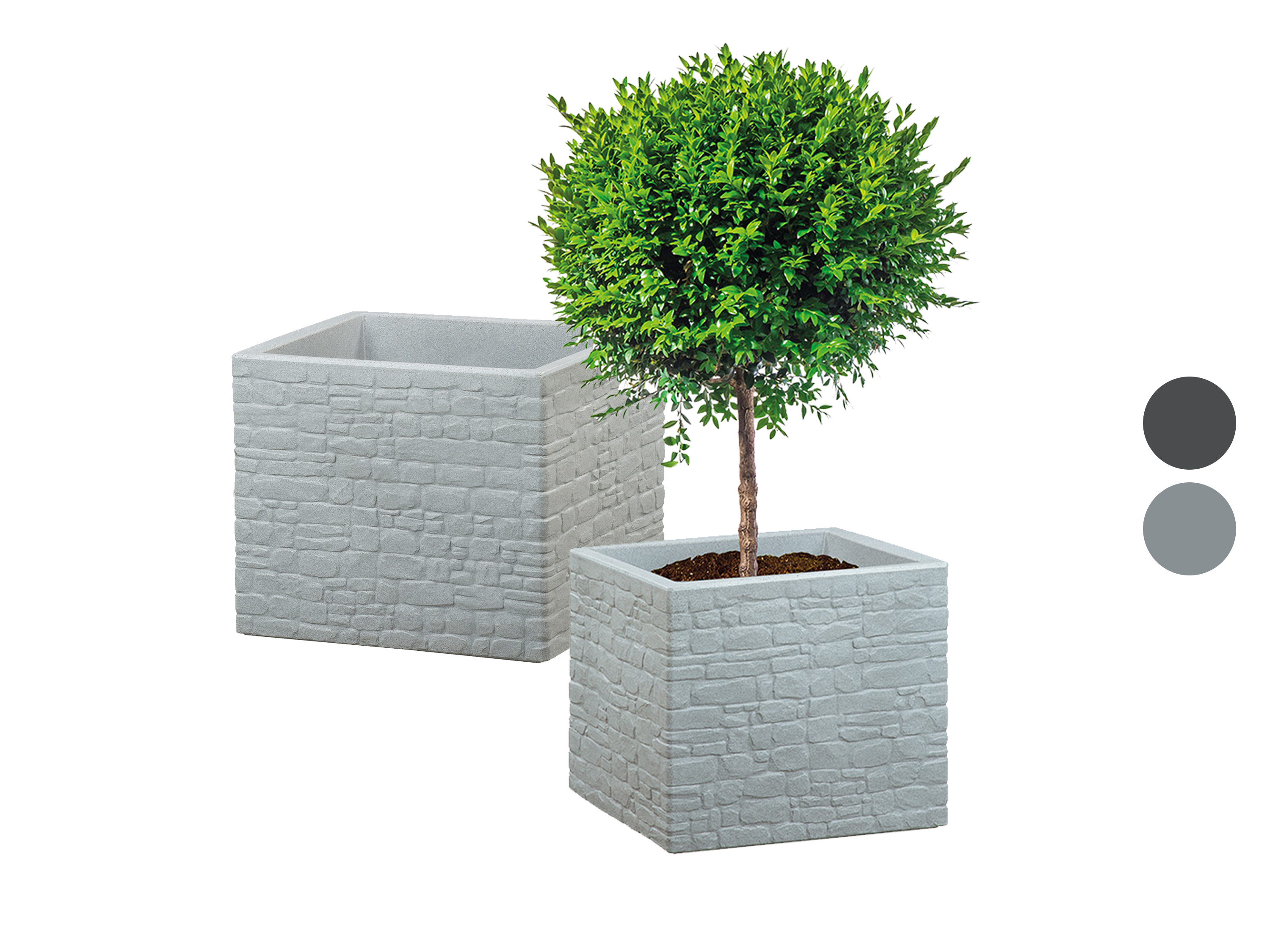 Scheurich Pot à plantes « Muretto », plastique, carré