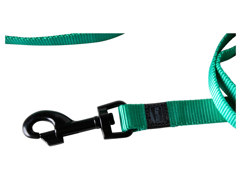Aller en mode plein écran : Collier avec laisse - Image 19