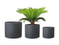 Trois pots de fleurs ronds gris, avec un palmier dans le pot du milieu