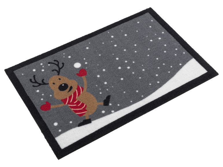 Aller en mode plein écran : LIVARNO home Tapis antipoussière, 40 x 60 cm - Image 10