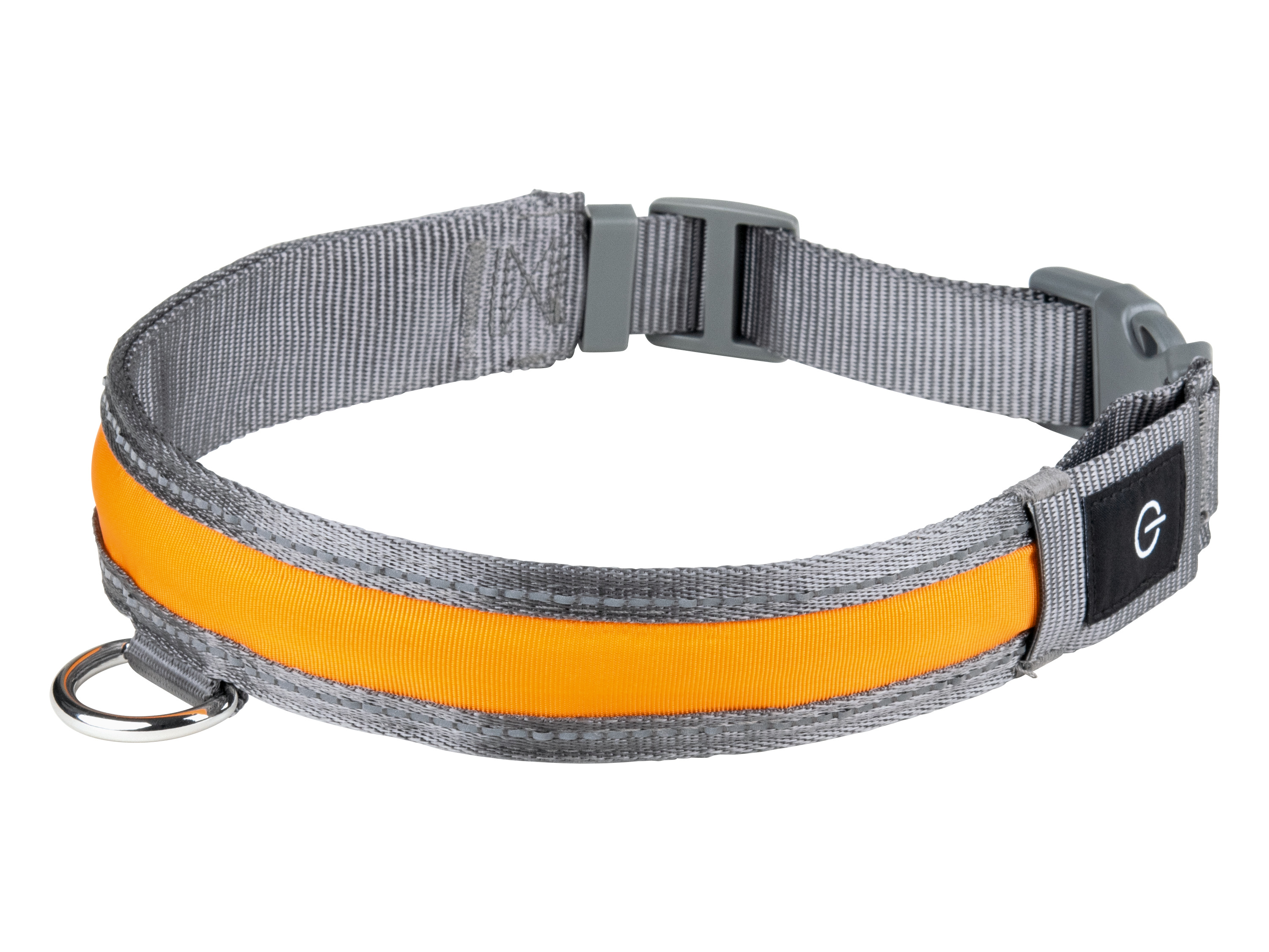 zoofari® Collier à LED pour chien (XL)