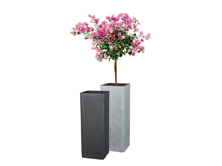 Aller en mode plein écran : Scheurich Pot à plantes haut « Cube High », plastique, carré, L 26 x l 26 x H 70 cm - Image 7