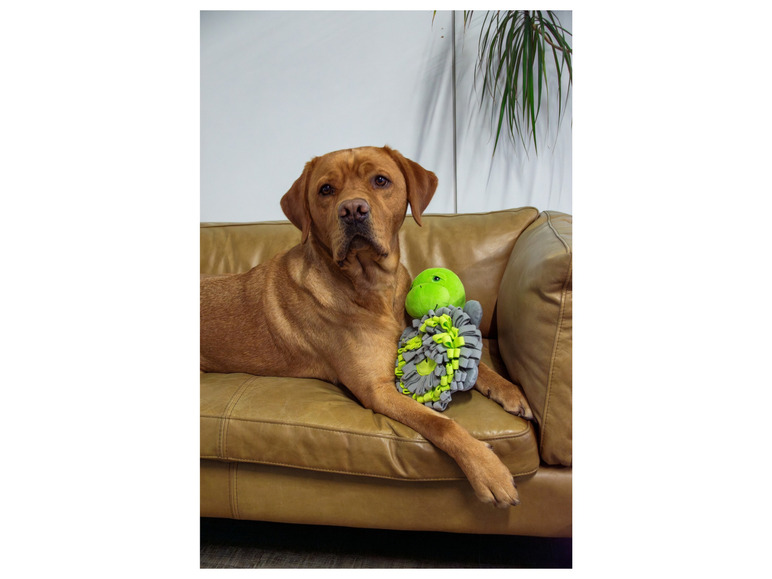 Aller en mode plein écran : Peluche pour chien - Image 3