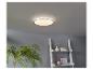 Un plafonnier rond avec éclairage LED, une plante et une étagère d'échelle blanche.
