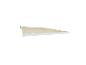 Store banne rétractable beige