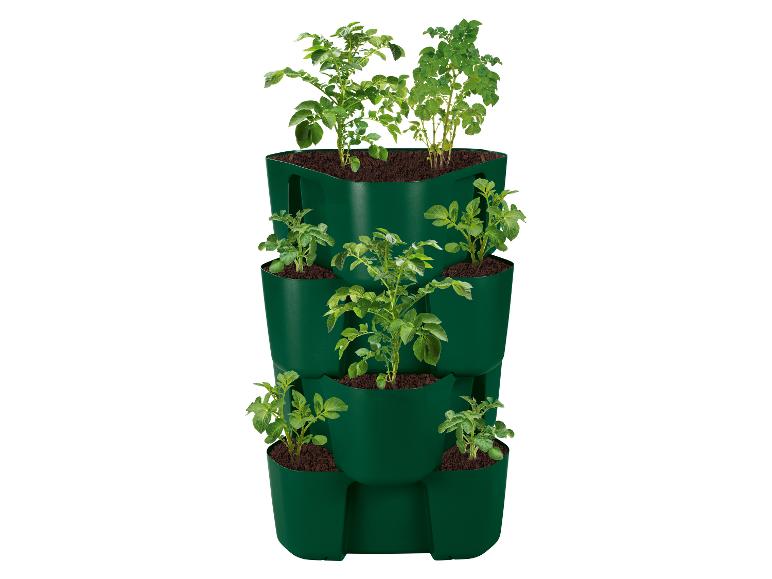 Jardinière verticale verte avec des plants de pommes de terre en croissance.