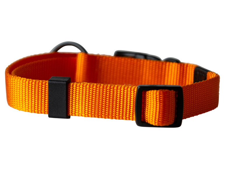 Aller en mode plein écran : Collier avec laisse - Image 27