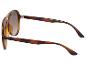 Lunettes de soleil marron avec monture écaille de tortue et verres teintés.