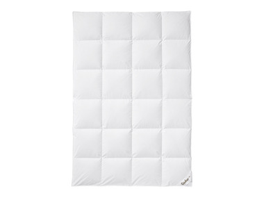 FJÖDUR Couette à cassettes en duvet d'oie, à partir de 135 x 200 cm (135 X 200 CM)