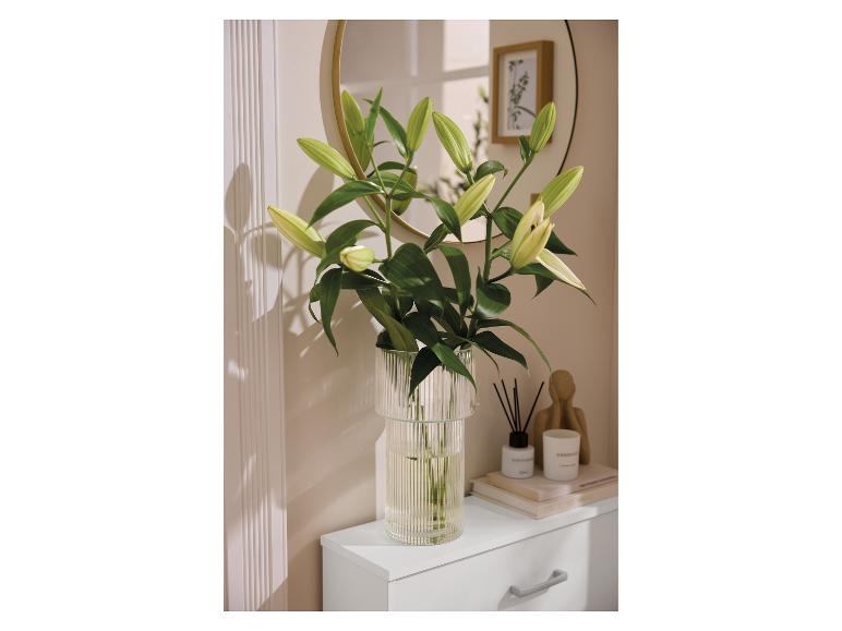 Vase en verre LIVARNO home avec un bouquet de lys sur une commode.