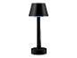 Une lampe noire avec un abat-jour.