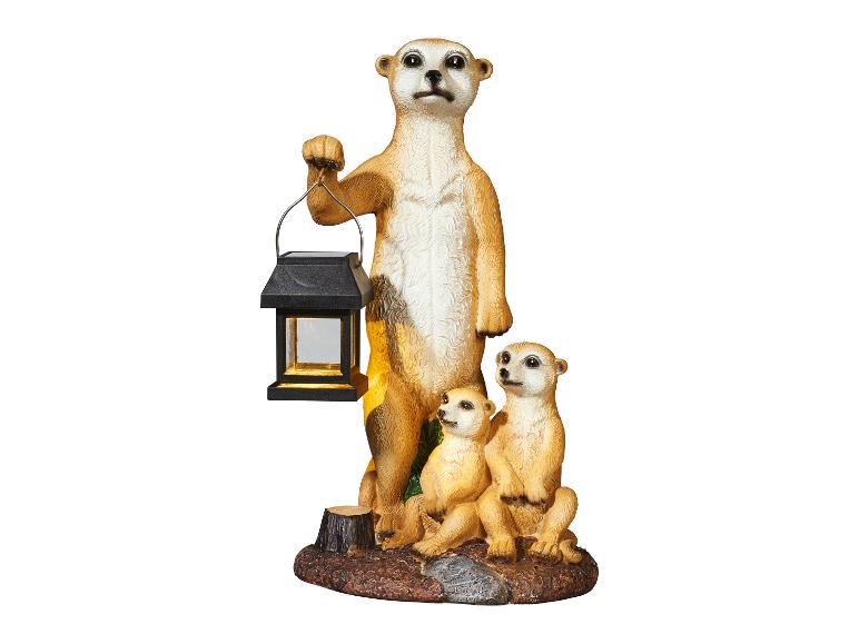 Une famille de trois suricates avec une lampe solaire.