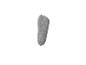 Chaussette courte grise sur fond blanc