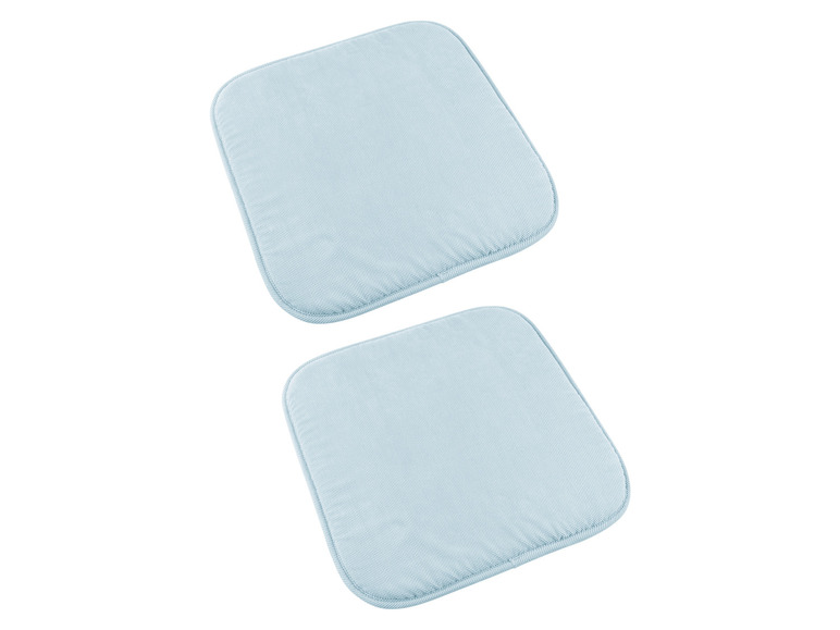 Deux coussins de chaise bleu clair.