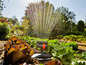 Arroseurs Gardena arrosant de la laitue dans un jardin.