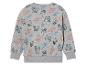 Un sweat-shirt gris à imprimé de dinosaures.