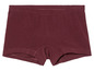Un boxer de couleur bordeaux.