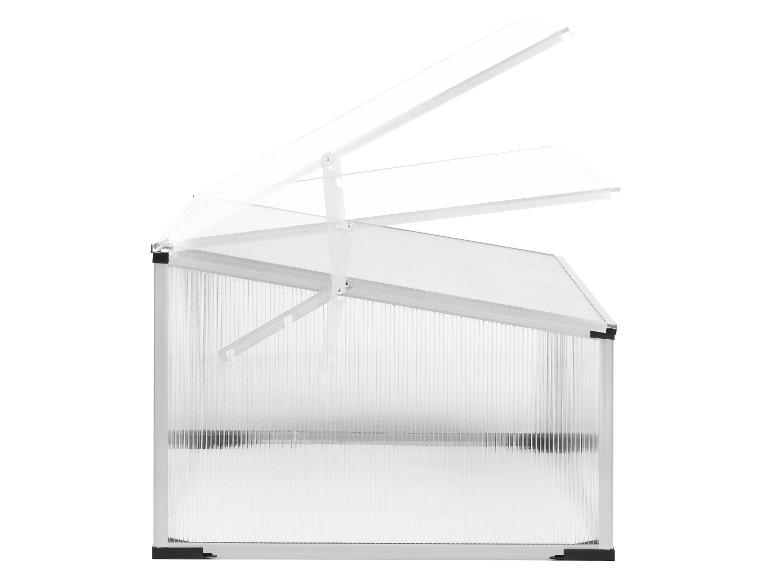 Mini-serre de jardin, 100 x 30/40 x 60 cm, 0,2m³