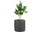 Plante artificielle avec feuilles vertes et tiges marron dans un pot en tissu gris foncé.