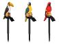 Trois lampes solaires de jardin représentant un toucan, un ara bleu et un perroquet rouge.