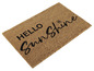 Un paillasson avec l'inscription 'Hello Sunshine'.