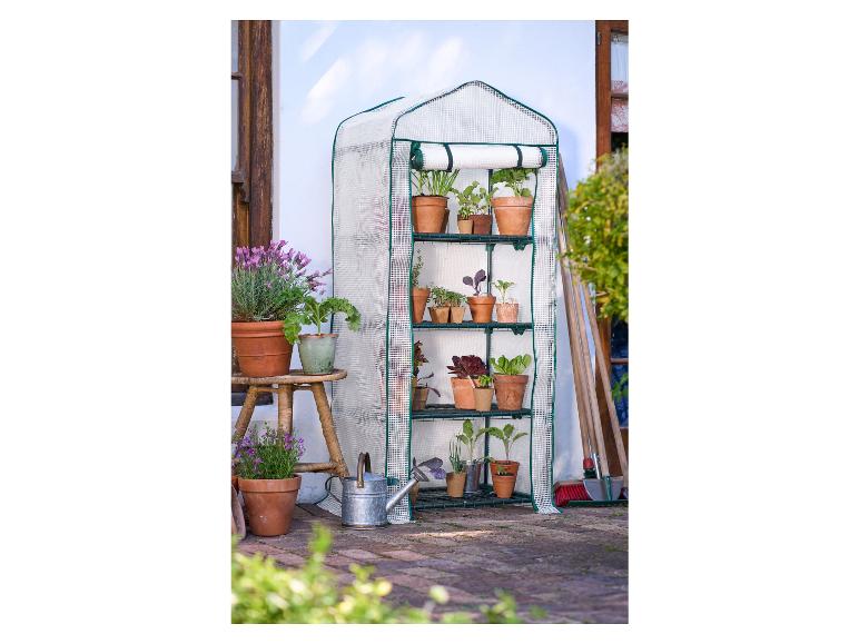 Une petite serre avec différentes plantes sur une terrasse.