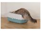 Un chat brun et gris utilisant une litière bleue et blanche.