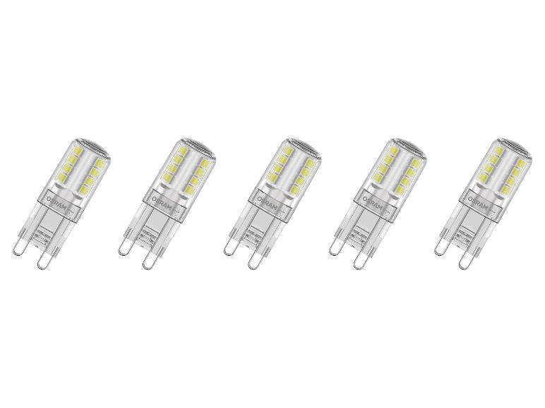 Cinq ampoules LED à deux broches