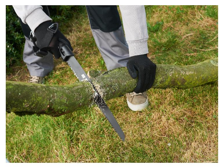 Personne coupant une branche d'arbre moussue avec une scie à main