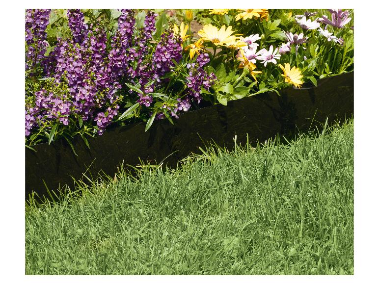 Fleurs violettes et marguerites jaunes, séparées par une bordure noire avec de l'herbe.