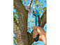 Une scie bleue est utilisée pour tailler une branche d'arbre.