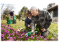 Un grand-père et son petit-fils utilisent des ciseaux de jardin Parkside pour tailler des fleurs.