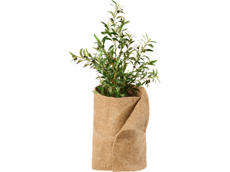 Olivier artificiel dans un pot en jute.