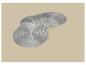Quatre sets de table ronds argentés sur fond beige