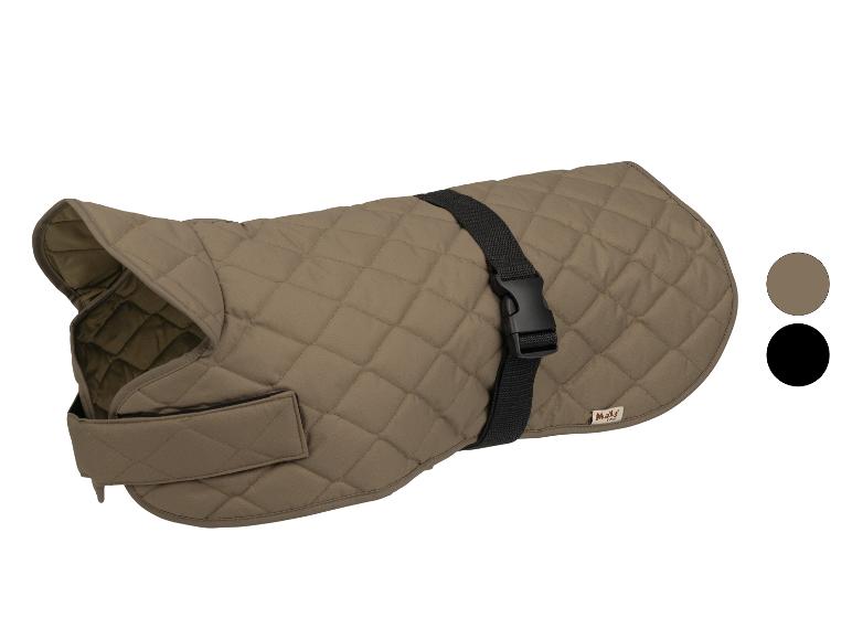 Manteau matelassé pour chien de couleur kaki avec sangle réglable et boucle.