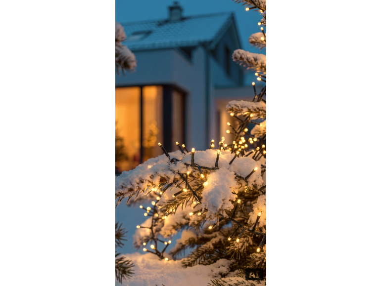 Guirlande lumineuse sur des branches enneigées devant une maison illuminée.