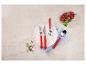 Ensemble de couverts à manches rouges, assiette, serviette, tomates cerises et épices.