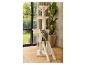Chat perché sur un arbre à chat beige avec plateformes et échelle.