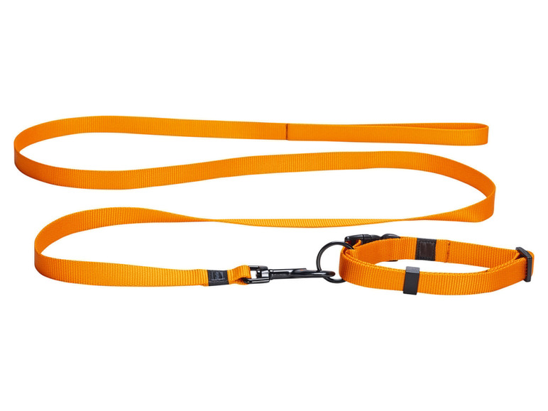 Aller en mode plein écran : Collier avec laisse - Image 25