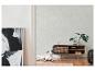 Un chien blanc allongé sur un tapis dans un salon avec un meuble en bois et des plantes.