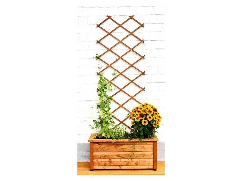 Jardinière en bois avec treillis, plante grimpante et fleurs jaune-orange sur un mur de briques blanches.