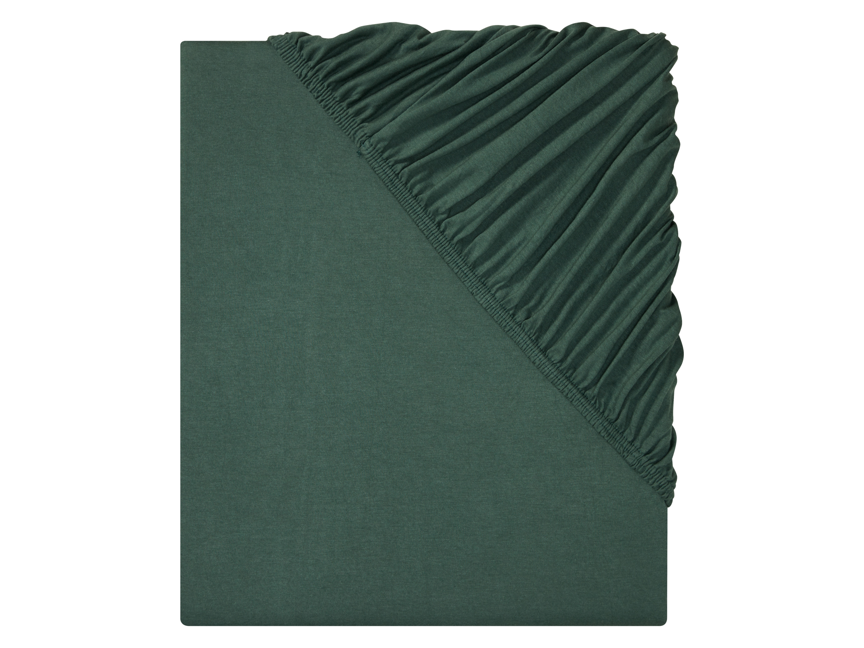 LIVARNO home Drap-housse jersey, 90-100 x 200 cm (vert)