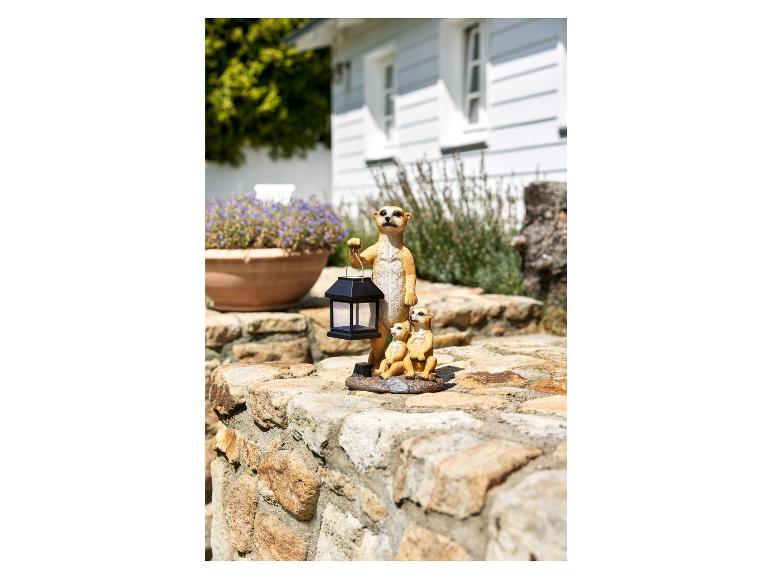 Trois adorables figurines de suricates avec une lanterne solaire.