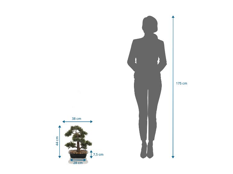 Bonsaï artificiel de 44 cm de haut, à côté d'une silhouette de personne de 175 cm.