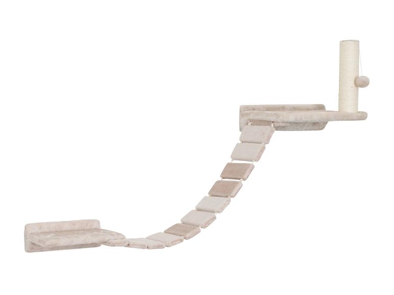 Ensemble mural pour chat avec échelle et poteau à griffer